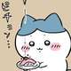 ちいかわ、醤油洞へ