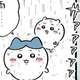 【再再・草むしり検定】ちいかわ最新話、雨まで降りはじめる…