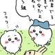 【再再・草むしり検定】ちいかわ最新話、うさぎの新語録wwwww