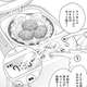 【悲報】ジャンプ+のほったらかし飯とかいう漫画、コメント欄が辛辣すぎて可哀想