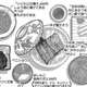 【画像】孤独のグルメ「昼飯食うか…」