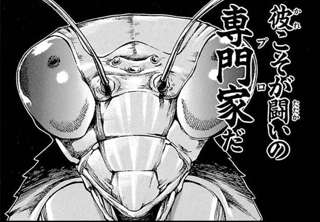 バキ作者「もしカマキリが人間と同サイズだったら、絶対人間（武器禁止）はカマキリに勝てない」