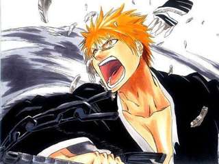 (ヽ´ん`)「黒崎一護が見える」