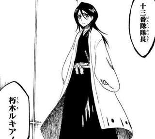 「BLEACHの護廷十三隊に入るとしたら何番隊？」←99．9パーセントのネット民が一致してしまう模様