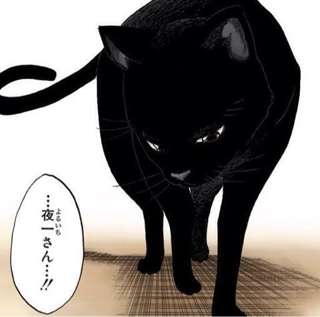 「井上織姫とヤリ放題」or「夜一さんとヤリ放題」