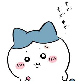 【ちいかわ】ハチワレ、傷を負う