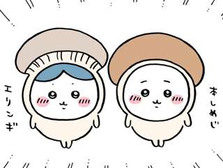 ちいかわ、ハロウィンのきのこコスプレを披露