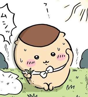 【ちいかわ】くりまん、真夏に草むしり