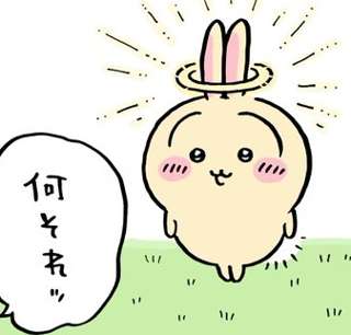 【悲報】ちいかわ最新話、うさぎがまたヤバいものを拾ってきてしまう…