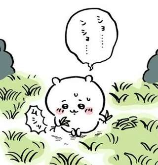 【画像】セブンイレブン、ちいかわがむしった草(365円)販売🌱