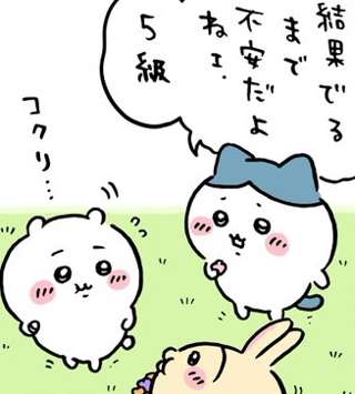 【再再・草むしり検定】ちいかわ最新話、うさぎの新語録ｗｗｗｗｗ
