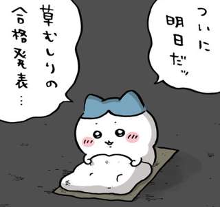 【再再・草むしり検定】ちいかわ最新話、ハチワレの願いは届くのか…