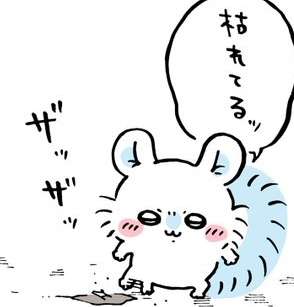 【ちいかわ】湧きどころ、枯れる