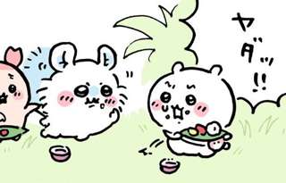 【島編】ちいかわ、少し成長する