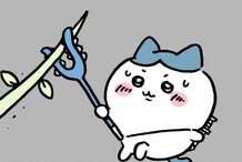 【島編】ちいかわのハチワレ、バトルで成長する