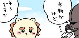 シーサー、ガチでお酒の資格に合格…