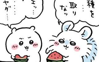 ちいかわ、モモンガの要求を拒否ｗｗｗｗ