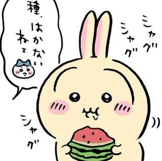 【ちいかわ】うさぎ、スイカ種ごと食べる派ｗｗｗ