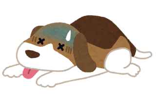 【悲報】ハワイの火災から逃げれなかった犬、ギャグ漫画みたいな死に方をしてしまう…