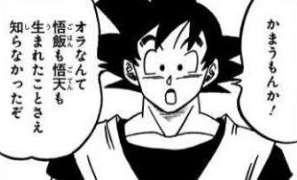 【畜生】悟空「おめえが産むわけじゃねえんだから別にいいじゃん。」