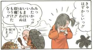 【悲報】ドラゴンボール、今見るとブルマが炎上しそうｗｗｗ