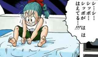 ドラゴンボールのブルマ「うわあああああ！！こいつ人間なのに尻尾が生えてる！」