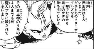 界王神「フリーザ程度ならワンパンで倒せますよ」←ぜってーウソだわ