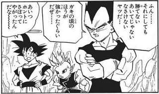 ベジータ「チッ、悟飯め修行をサボってやがったな」