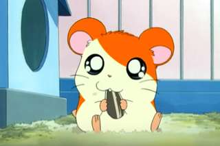 3大国民的になりそこねたアニメ「ツヨシしっかりしなさい」「ハム太郎」