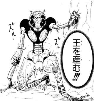 キメラアントがNGLに流れ着いた時に傷ついてた理由、ガチで謎ｗ