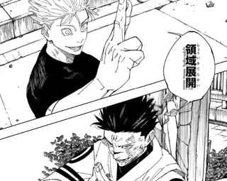 呪術廻戦「五条が宿儺より一瞬早く領域展開したから無領空処くらいました」←は？