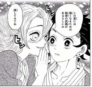 柱でまともなキャラ、甘露寺蜜璃しかいない