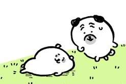 【もぐらコロッケ】パグさん、久しぶりの登場