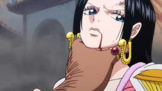 ワンピースで1番シコれるキャラｗｗｗｗ