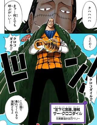 【悲報】ワンピースのハイパーインフレによりクロコダイルが19億の男に…