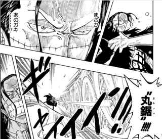 クロコダイル「水もねぇのにどうやって…テメェ…まさか…！！」