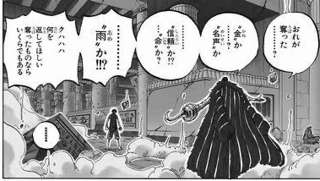 クロコダイル「俺が奪った…？（まあ金か名声やろなあ）」