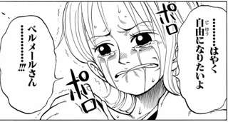 泥棒猫のナミさん、号泣してしまう😭