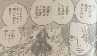 ONE PIECE、神の騎士団の能力判明