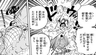 ワンピースで今はロギアが最弱って言われてるけどさ