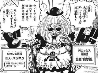 【悲報】ワンピースの海軍さん、ウィーブルしか元七武海の残党を倒していない
