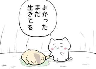 【感動】おんねこの泣けるシーン、マジで涙腺崩壊www