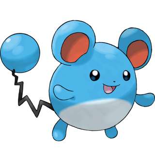 【悲報】横浜さん、推しポケモンをマリルにしてしまう
