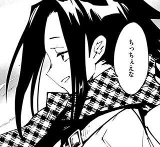 【悲報】「シャーマンキング」の続編、ガチで面白くなってきたのに話題にならない