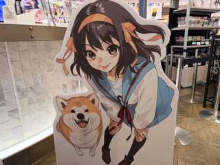 渋谷に涼宮ハルヒ登場ｗｗｗｗｗｗｗｗｗ