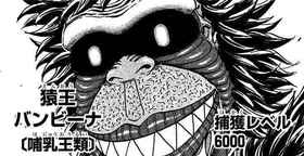 【速報】トリコに捕獲レベル6000の猛者が出現！！！！