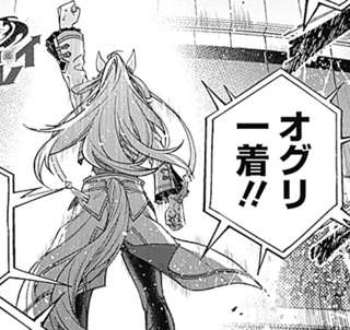 【悲報】ウマ娘シンデレラグレイ、最終回直前で致命的な作画ミスｗｗｗｗｗｗｗ