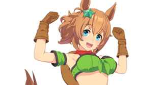 アメリカのウマ娘、なんか凄い